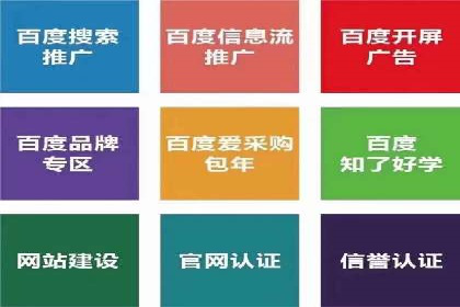 实战技巧：竞价推广案例解析与优化策略